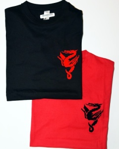 wildschoenau_he_shirts_web