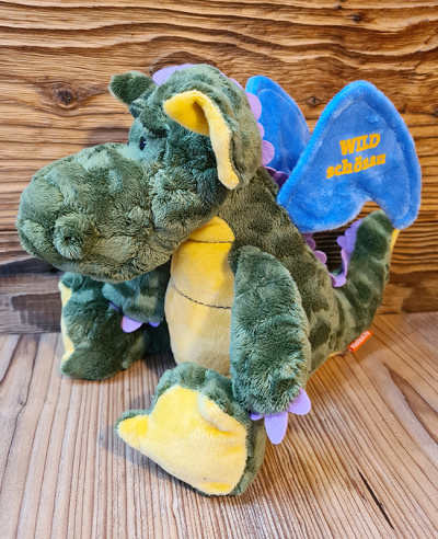 drache2_web