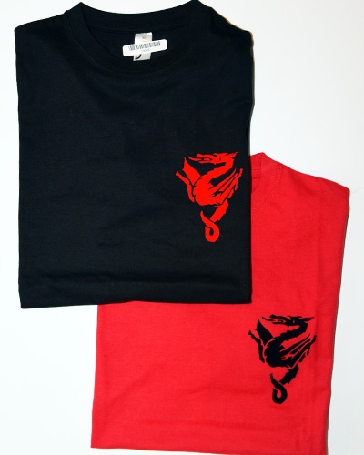 wildschoenau_he_shirts_web